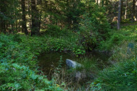 /album/gleinalpe-rossbachkogel-4-september-2025/gleinalpe-rosbachkogel-04-09-2025-24-jpg/